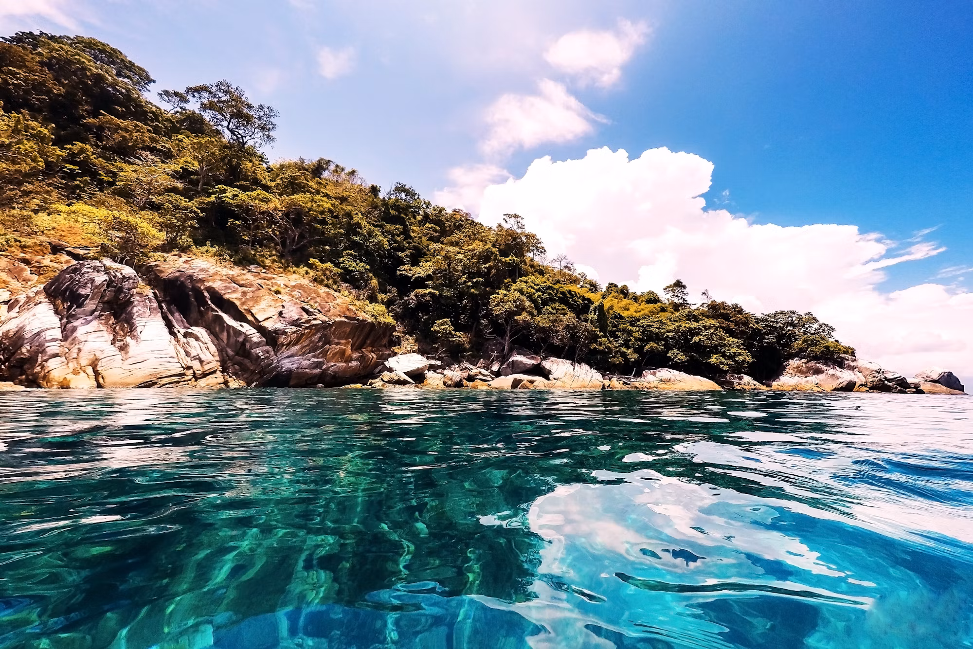 Beneath the Surface: A Journey Through the World of Diving
